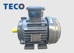 MOTOR TECO AESV